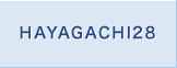 Web HAYAGACHI 28