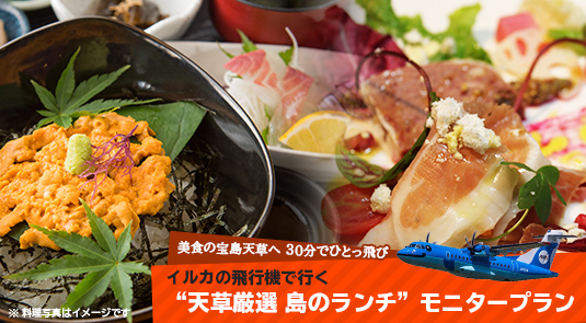 イルカの飛行機で行く"天草厳選 島のランチ&モニタープラン